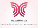 Dr. Aarón Enrique Ortega Pérez