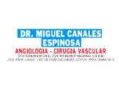 Dr. Miguel Canales Espinosa