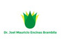 Dr. Joel Mauricio Encinas Brambila