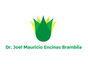 Dr. Joel Mauricio Encinas Brambila
