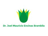 Dr. Joel Mauricio Encinas Brambila