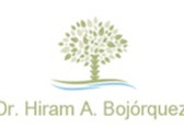 Dr. Hiram Alejandro Bojórquez Sepúlveda