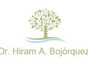 Dr. Hiram Alejandro Bojórquez Sepúlveda