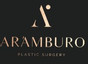 Dr. Rigoberto Aramburo García