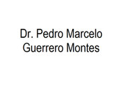 Dr. Pedro Marcelo Guerrero Montes