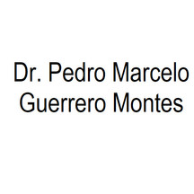 Dr. Pedro Marcelo Guerrero Montes