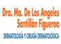 Dra. María De Los Ángeles Santillán Figueroa