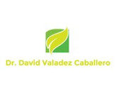 Dr. David Valadez Caballero