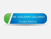 Dr. Guillermo José Gallardo Palacios