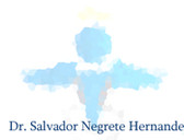Dr. Salvador Negrete Hernández