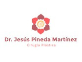 Dr. Jesús Pineda Martínez