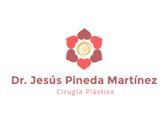 Dr. Jesús Pineda Martínez