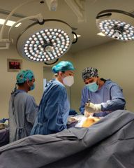 Dr. Jhony Camarero