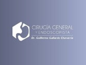 Dr. Guillermo Gallardo Chavarria