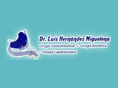 Dr. Luis Hernandez Miguelena