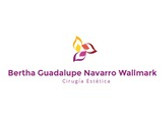 Dra. Bertha Guadalupe Navarro Wallmark