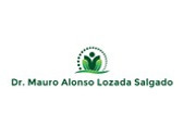 Dr. Mauro Alonso Lozada Salgado
