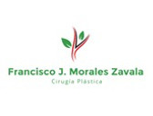 Dr. Francisco J. Morales Zavala