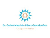 Dr. Carlos Mauricio Pérez Garcidueñas