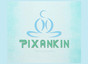 Pixankin