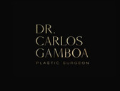 Dr. Carlos Enrique Gamboa Ruiz