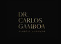 Dr. Carlos Gamboa