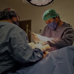 Dr. Raúl Sierra Franco 
