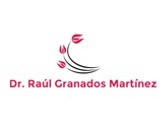 Dr. Raúl Granados Martínez