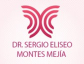 Dr. Sergio Eliseo Montes Mejía