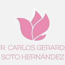 Dr. Carlos Gerardo Soto Hernández
