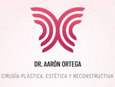 Dr. Aarón Enrique Ortega Pérez