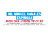 Dr. Miguel Canales Espinosa