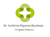 Dr. Guillermo Figueroa Escoboza
