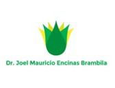 Dr. Joel Mauricio Encinas Brambila