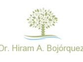 Dr. Hiram Alejandro Bojórquez Sepúlveda