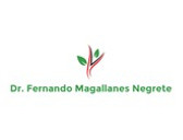Dr. Magallanes Negrete Fernando