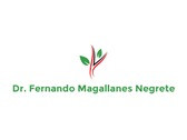 Dr. Magallanes Negrete Fernando