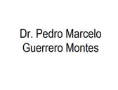 Dr. Pedro Marcelo Guerrero Montes
