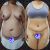 Cambio de abdomen y glúteos