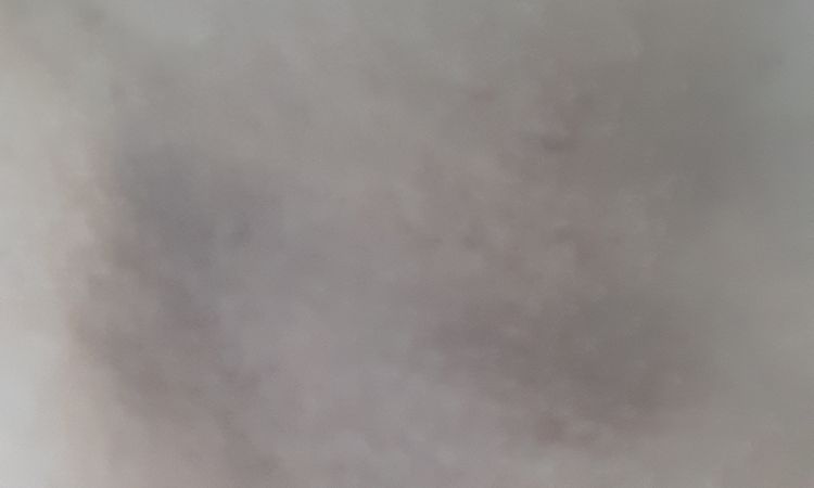 69829
