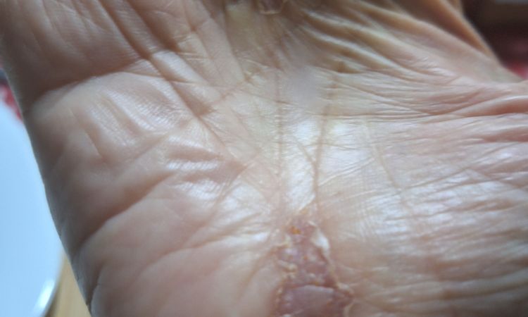 144569