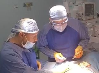 Dr. Daniel Ponce Franco